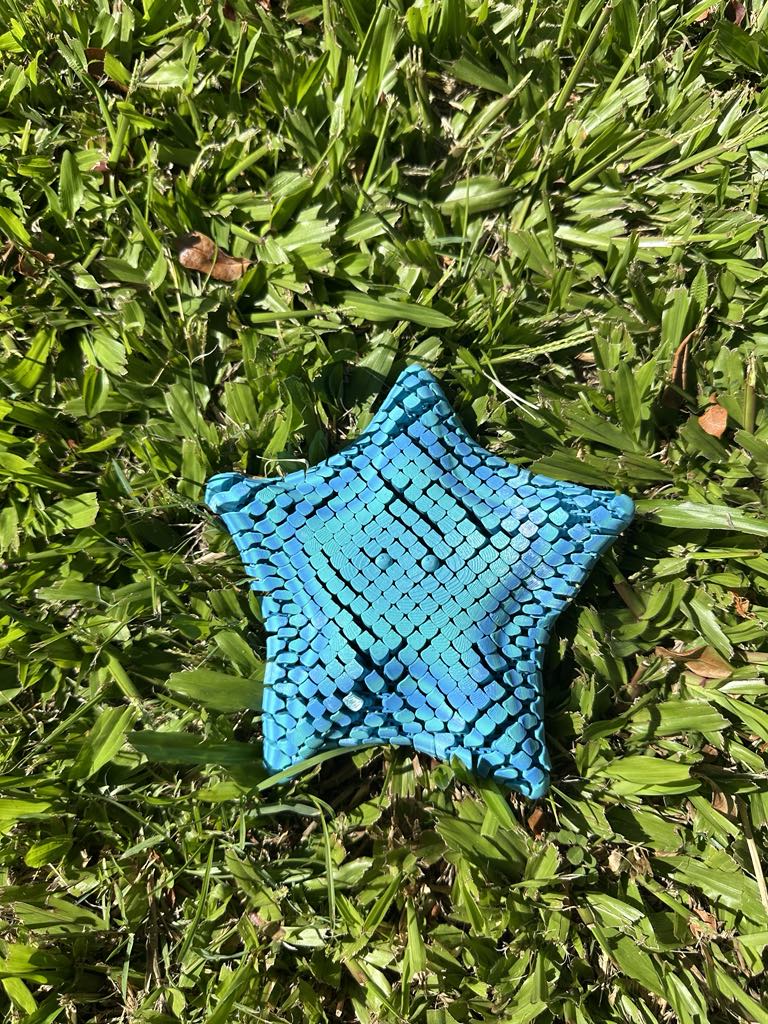 Starfish
