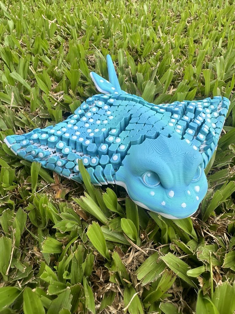 Stingray