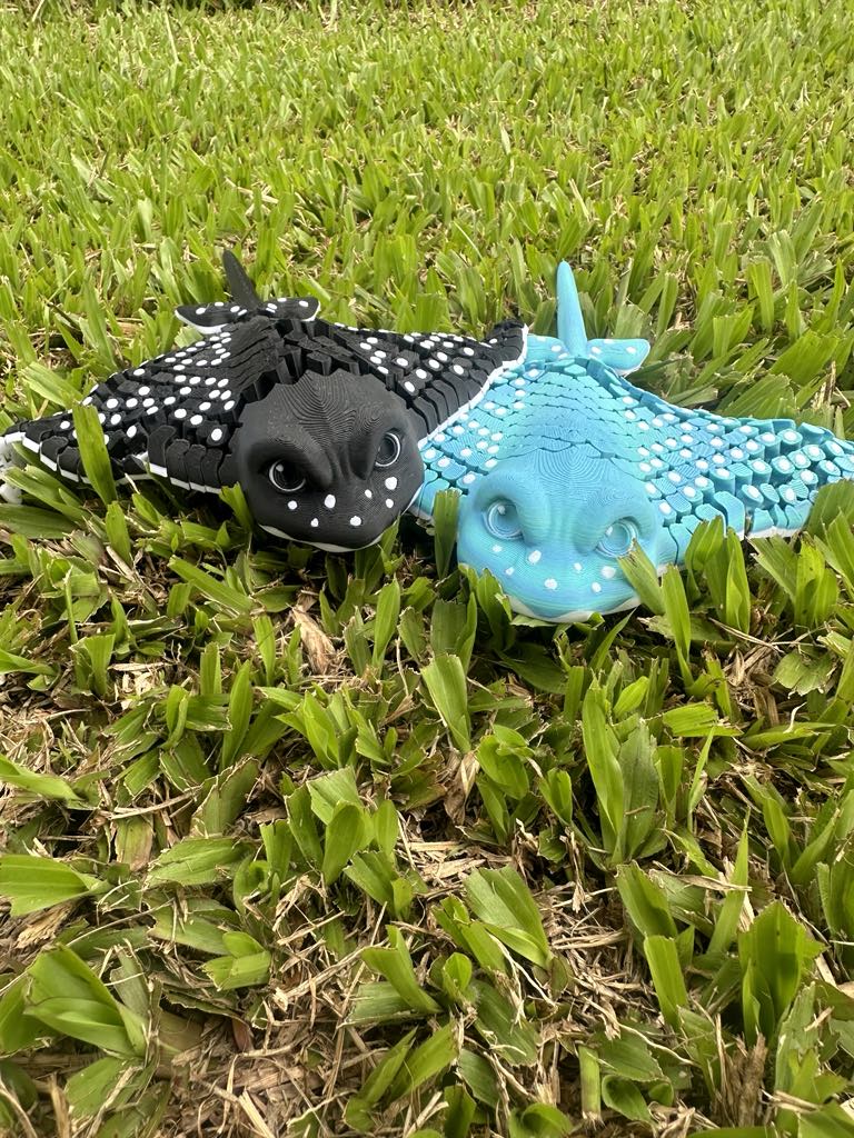 Stingray