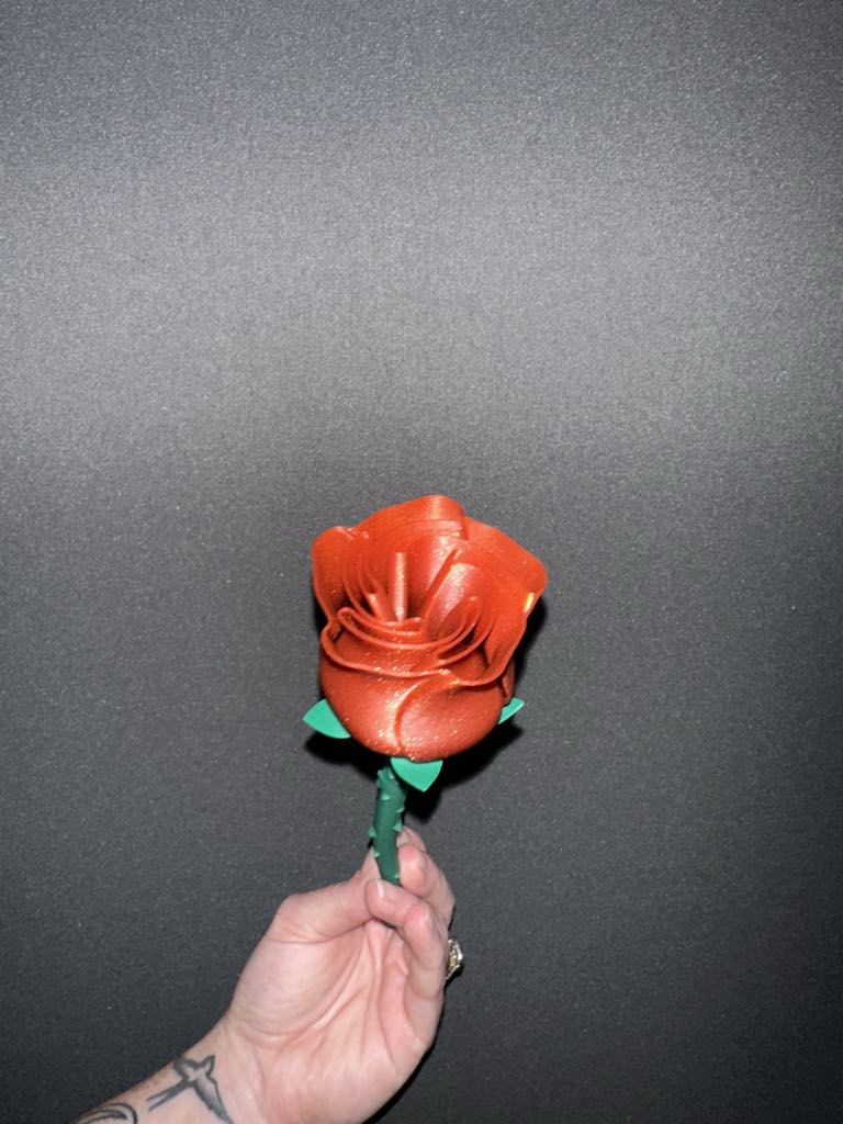Valentines day roses