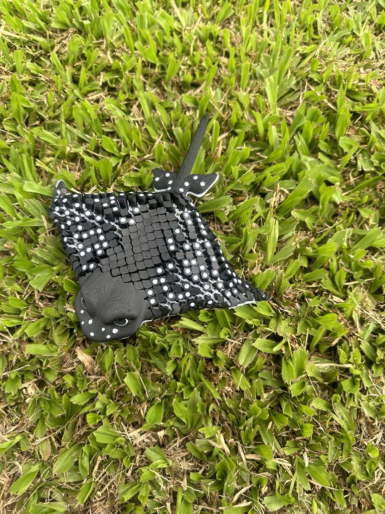 Stingray