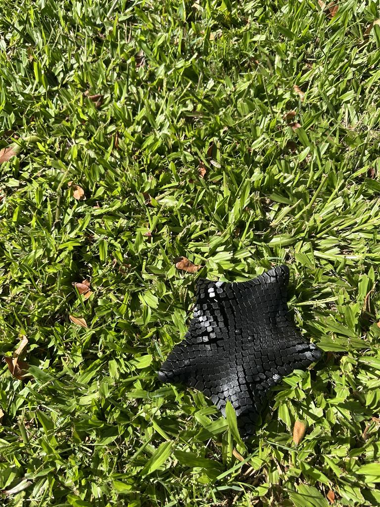 Starfish
