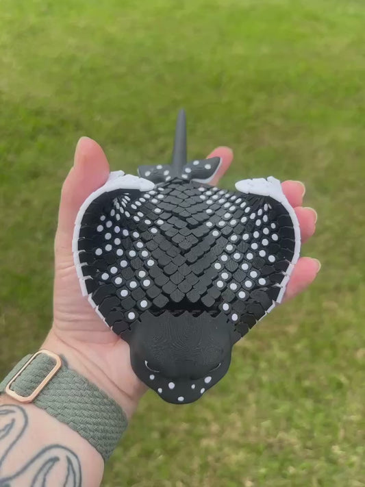 Stingray